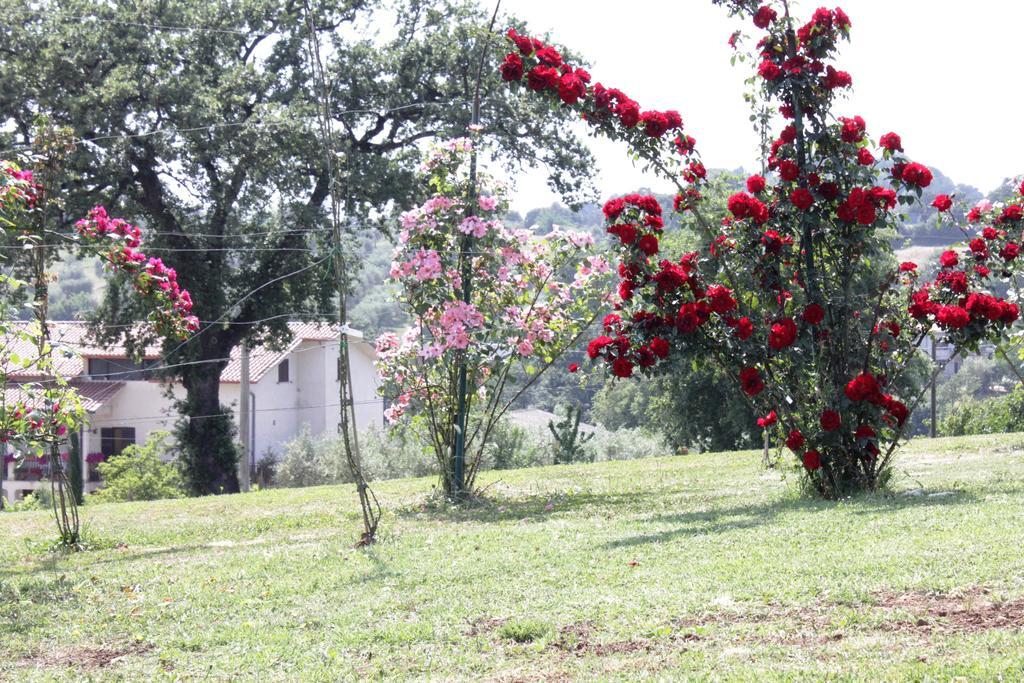 Agriturismo Nociquerceto Tarano エクステリア 写真