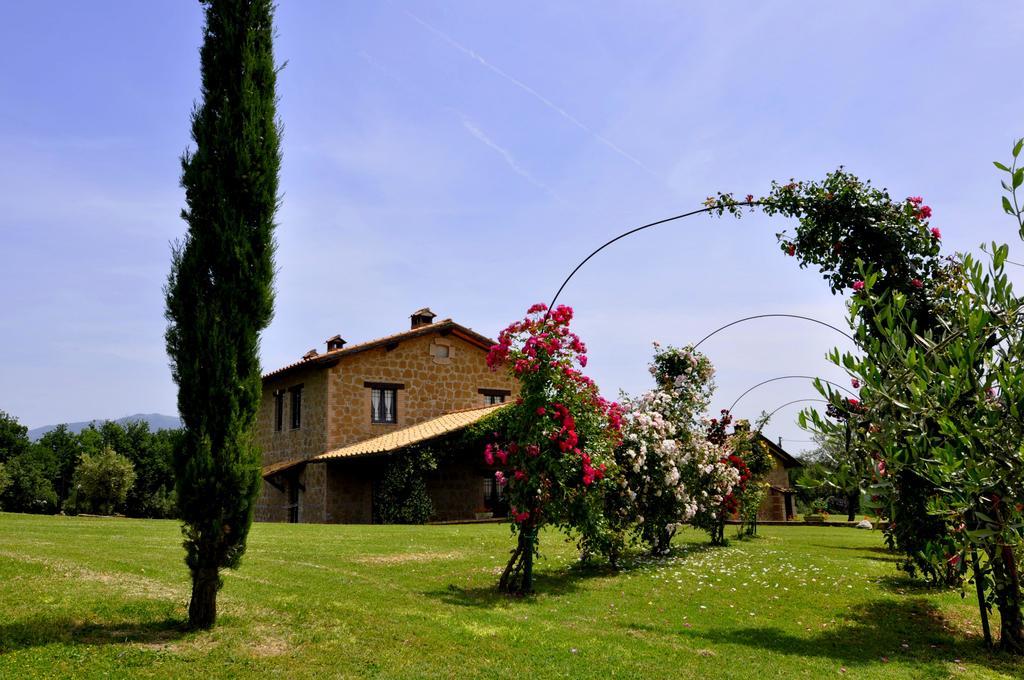 Agriturismo Nociquerceto Tarano エクステリア 写真